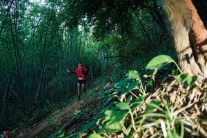 BIB: 
                            <button type="button" onclick="openModal(28124252)" class="btn btn-primary btn-sm float-right btn-popup" data-toggle="modal" data-target=".modal-high-quality">
                        <i class="fas fa-shopping-cart"></i> Add to Cart
                    </button>
                                            <button type="button" onclick="isThisMe(28124252, true)" class="btn btn-success btn-sm float-right btn-popup btn-isme hidden" data-toggle="tooltip" data-placement="bottom" title="นี่คือรูปของคุณใช่ไหม คลิกที่นี่เพื่อเอาเข้าอัลบั้ม">
                        <i class="fas fa-plus"></i> Add to album
                    </button>
                    <button type="button" onclick="isThisMe(28124252, false)" class="btn btn-warning btn-sm float-right btn-popup btn-isnotme hidden">
                        <i class="fas fa-ban"></i> Remove from album
                    </button>